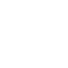 Savage Strategic